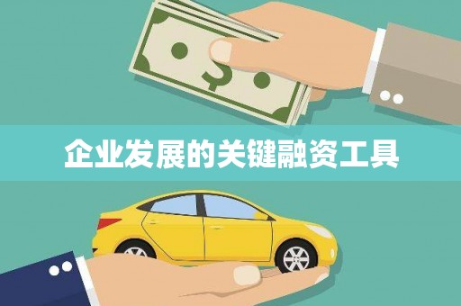那玛夏企业发展的关键融资工具