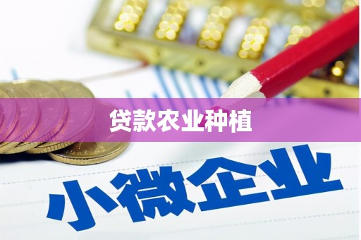 那玛夏贷款农业种植