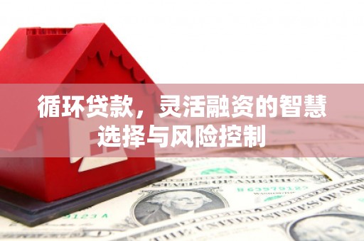 那玛夏循环贷款，灵活融资的智慧选择与风险控制