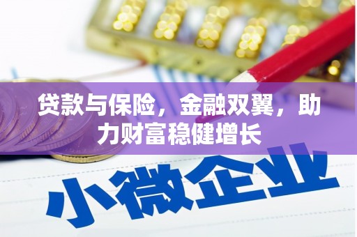 那玛夏贷款与保险，金融双翼，助力财富稳健增长