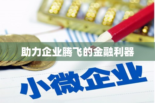 那玛夏助力企业腾飞的金融利器