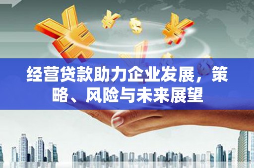 那玛夏经营贷款助力企业发展，策略、风险与未来展望