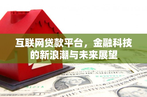 那玛夏互联网贷款平台，金融科技的新浪潮与未来展望