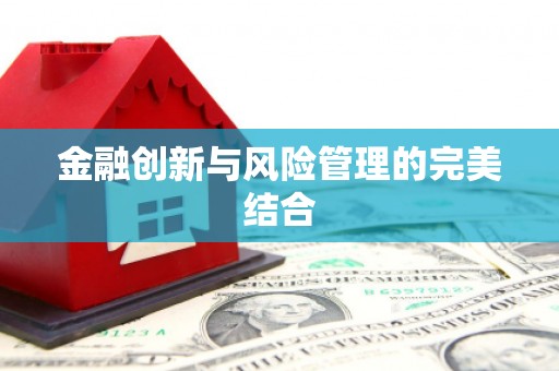 那玛夏金融创新与风险管理的完美结合