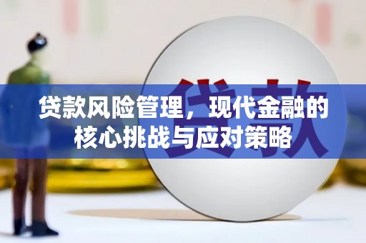 那玛夏贷款风险管理，现代金融的核心挑战与应对策略