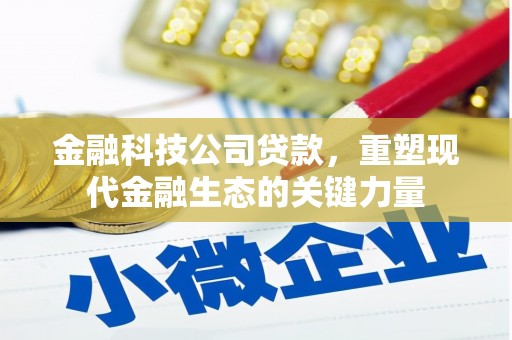 那玛夏金融科技公司贷款，重塑现代金融生态的关键力量
