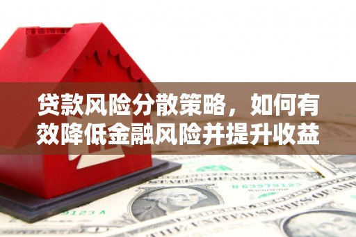 那玛夏贷款风险分散策略，如何有效降低金融风险并提升收益