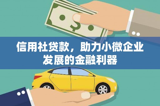 那玛夏信用社贷款，助力小微企业发展的金融利器