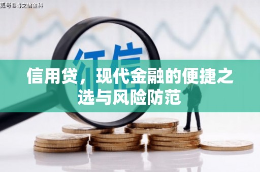 那玛夏信用贷，现代金融的便捷之选与风险防范
