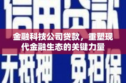 那玛夏金融科技公司贷款，重塑现代金融生态的关键力量