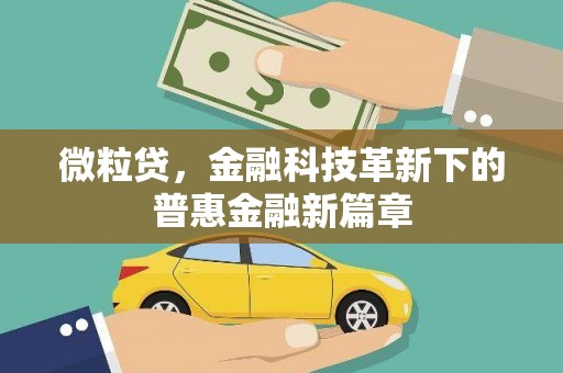 那玛夏微粒贷，金融科技革新下的普惠金融新篇章
