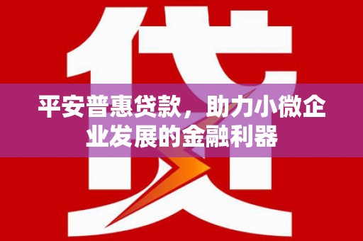 那玛夏平安普惠贷款，助力小微企业发展的金融利器