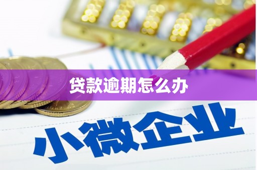 那玛夏贷款逾期怎么办