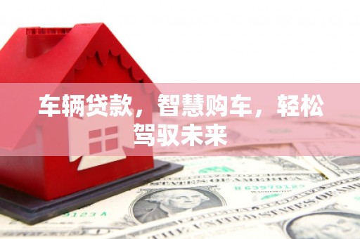 那玛夏车辆贷款，智慧购车，轻松驾驭未来