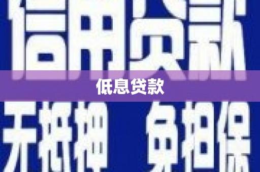 那玛夏低息贷款