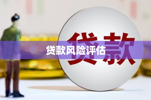 那玛夏贷款风险评估