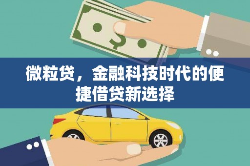 那玛夏微粒贷，金融科技时代的便捷借贷新选择