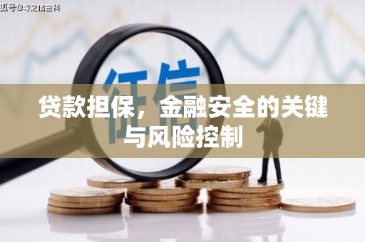 那玛夏贷款担保，金融安全的关键与风险控制