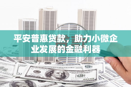 那玛夏平安普惠贷款，助力小微企业发展的金融利器