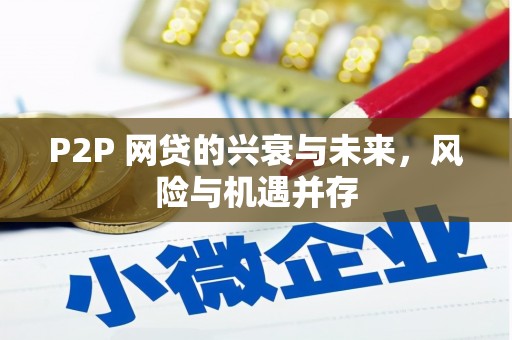 那玛夏P2P 网贷的兴衰与未来，风险与机遇并存