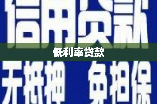 那玛夏低利率贷款