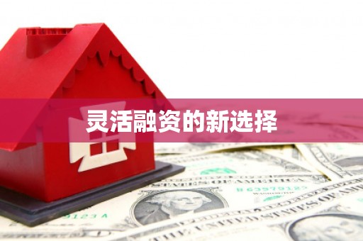 那玛夏灵活融资的新选择