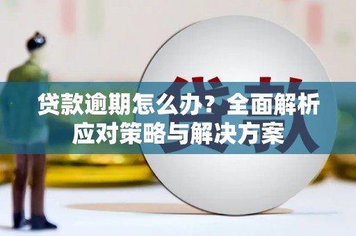 那玛夏贷款逾期怎么办？全面解析应对策略与解决方案