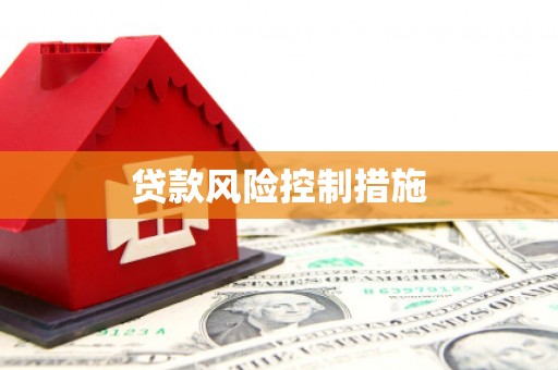 那玛夏贷款风险控制措施