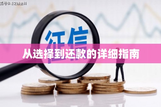 那玛夏从选择到还款的详细指南