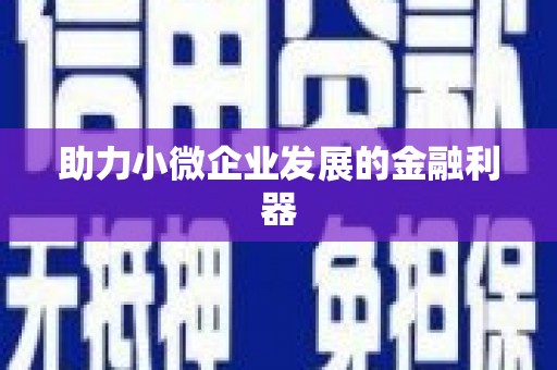那玛夏助力小微企业发展的金融利器