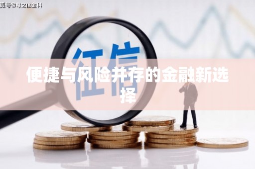 那玛夏便捷与风险并存的金融新选择