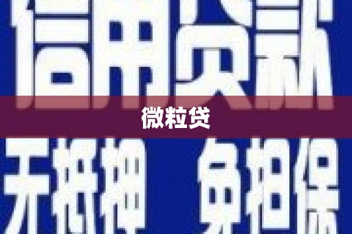 那玛夏微粒贷