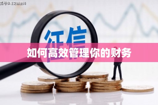那玛夏如何高效管理你的财务