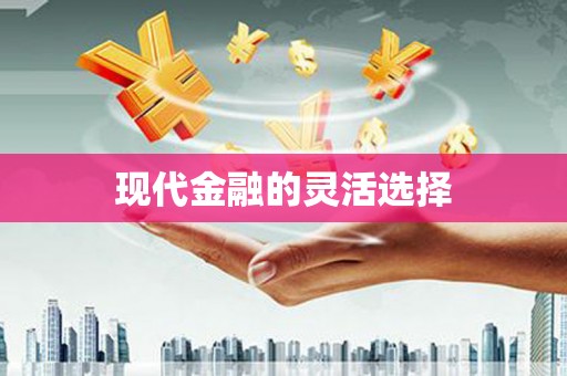 那玛夏现代金融的灵活选择