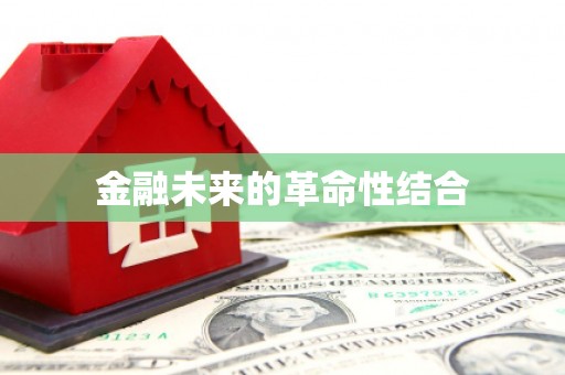 那玛夏金融未来的革命性结合
