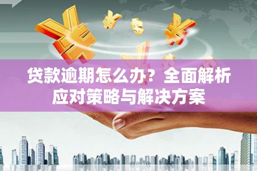 那玛夏贷款逾期怎么办？全面解析应对策略与解决方案