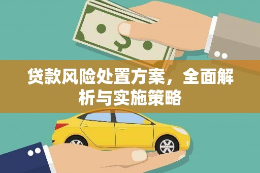 那玛夏贷款风险处置方案，全面解析与实施策略