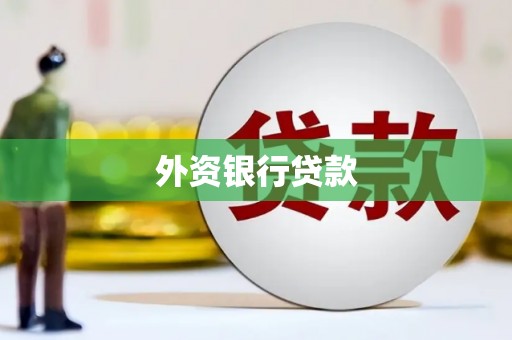 那玛夏外资银行贷款