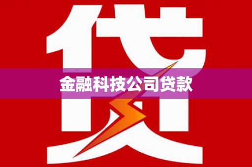 那玛夏金融科技公司贷款
