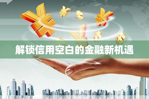 那玛夏解锁信用空白的金融新机遇