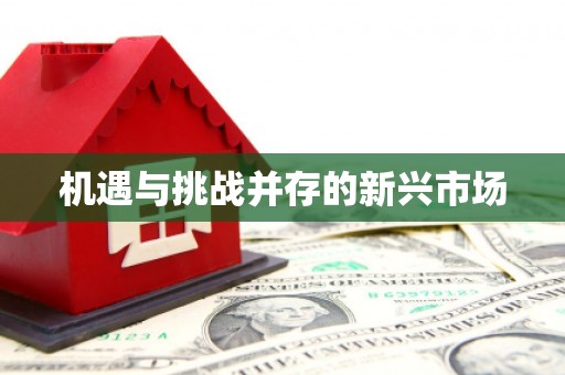 那玛夏机遇与挑战并存的新兴市场