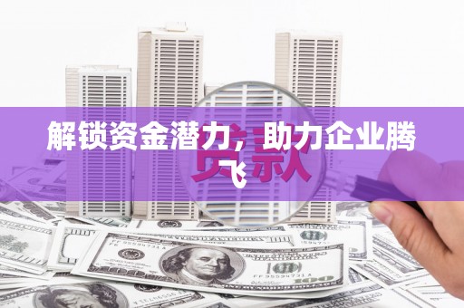 那玛夏解锁资金潜力，助力企业腾飞