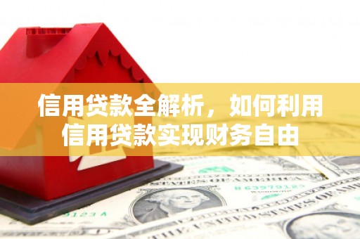 那玛夏信用贷款全解析，如何利用信用贷款实现财务自由