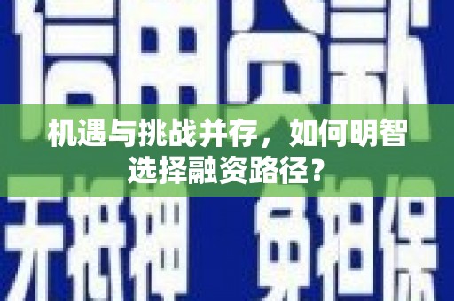 那玛夏机遇与挑战并存，如何明智选择融资路径？