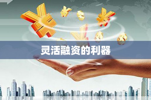 那玛夏灵活融资的利器