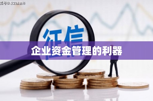 那玛夏企业资金管理的利器