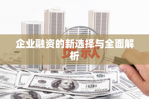 那玛夏企业融资的新选择与全面解析