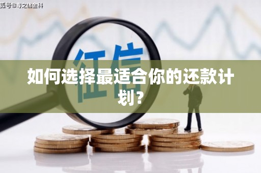 那玛夏如何选择最适合你的还款计划？