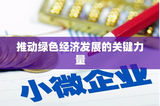 那玛夏推动绿色经济发展的关键力量