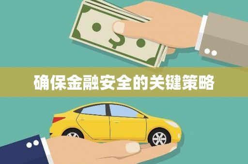 那玛夏确保金融安全的关键策略